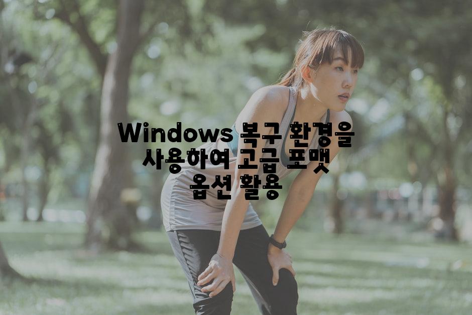 Windows 복구 환경을 사용하여 고급 포맷 옵션 활용