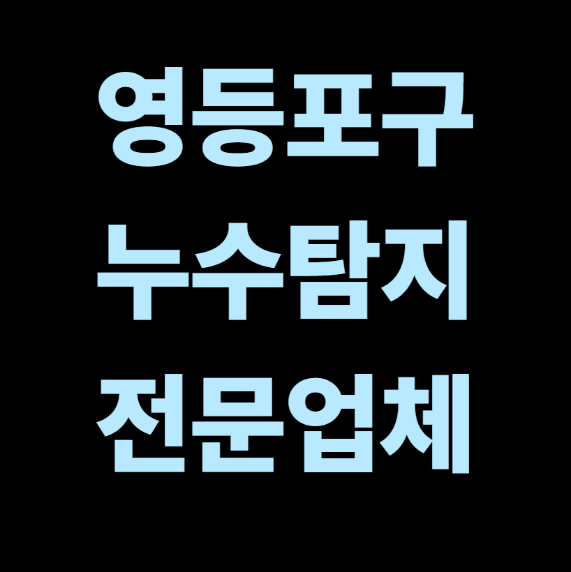 영등포구 누수탐지 전문업체