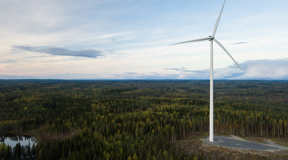 슬로 우드 운동: 지속 가능한 목재 사용의 가치