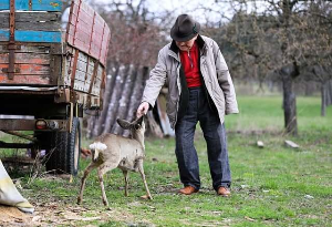 요양보호사 가족케어 급여