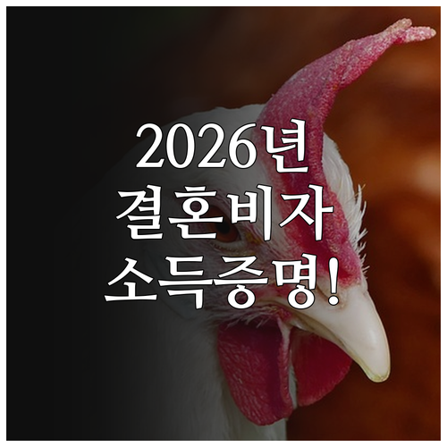 2026년 결혼비자 소득 기준 계산과..