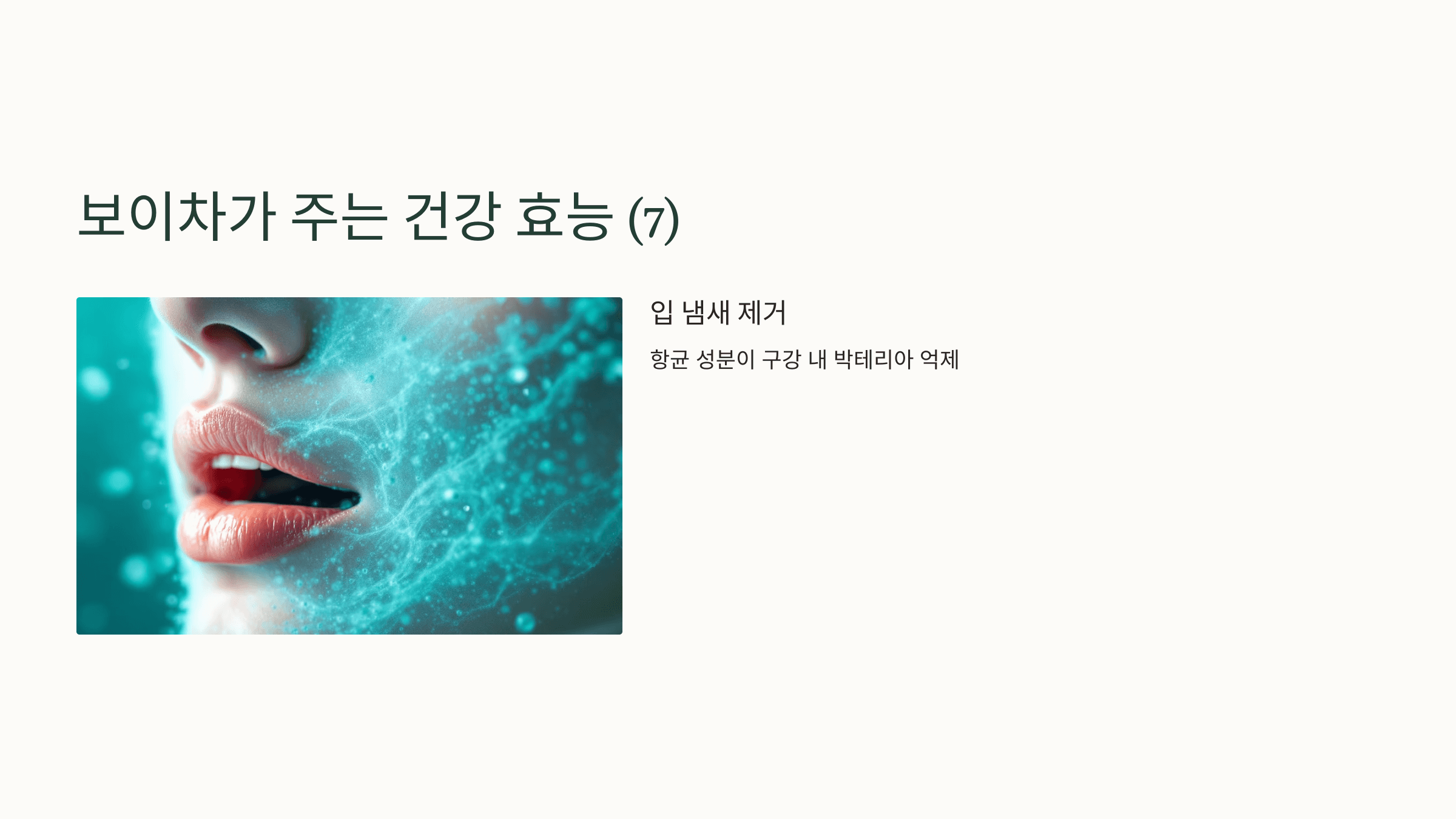 보이차 사진입니다.