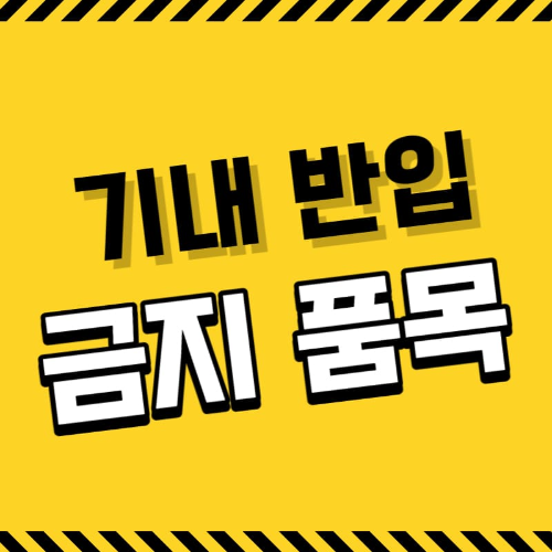 기내반입가능액체