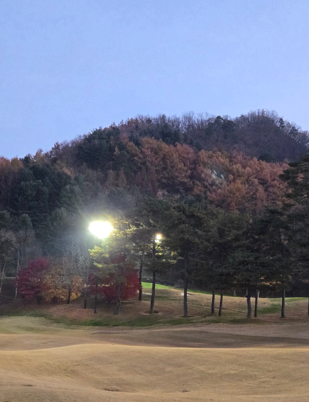 라이트가 비치는 코스전경