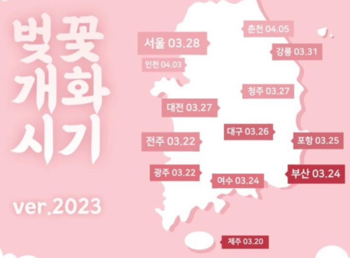 2023 벚꽃 개화 시기