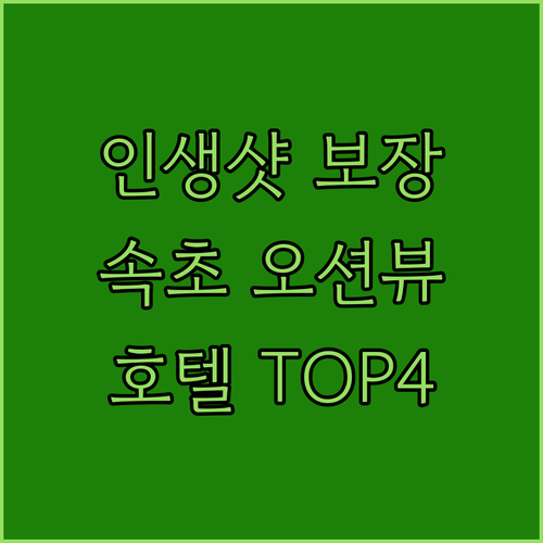 인생샷 보장! ✨ 속초 오션뷰 호텔 