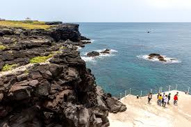 해안절벽 루프 산책로 (약 1시간 소요) (출처:네이버블로그/다음)