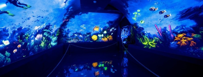 환상적인/국내/여행지/여수/예술랜드