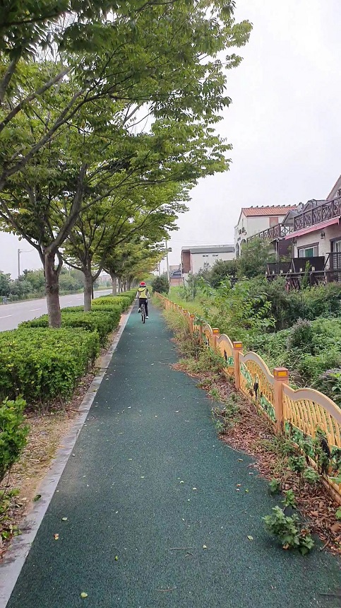 자전거타기효과