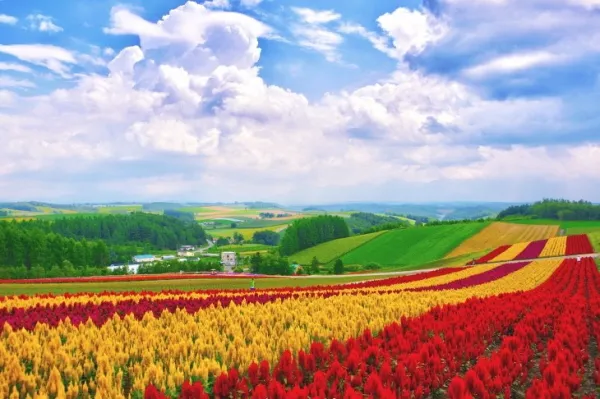 홋카이도 여름 여행코스 4박5일 일정과 맛집 정보 정리_8