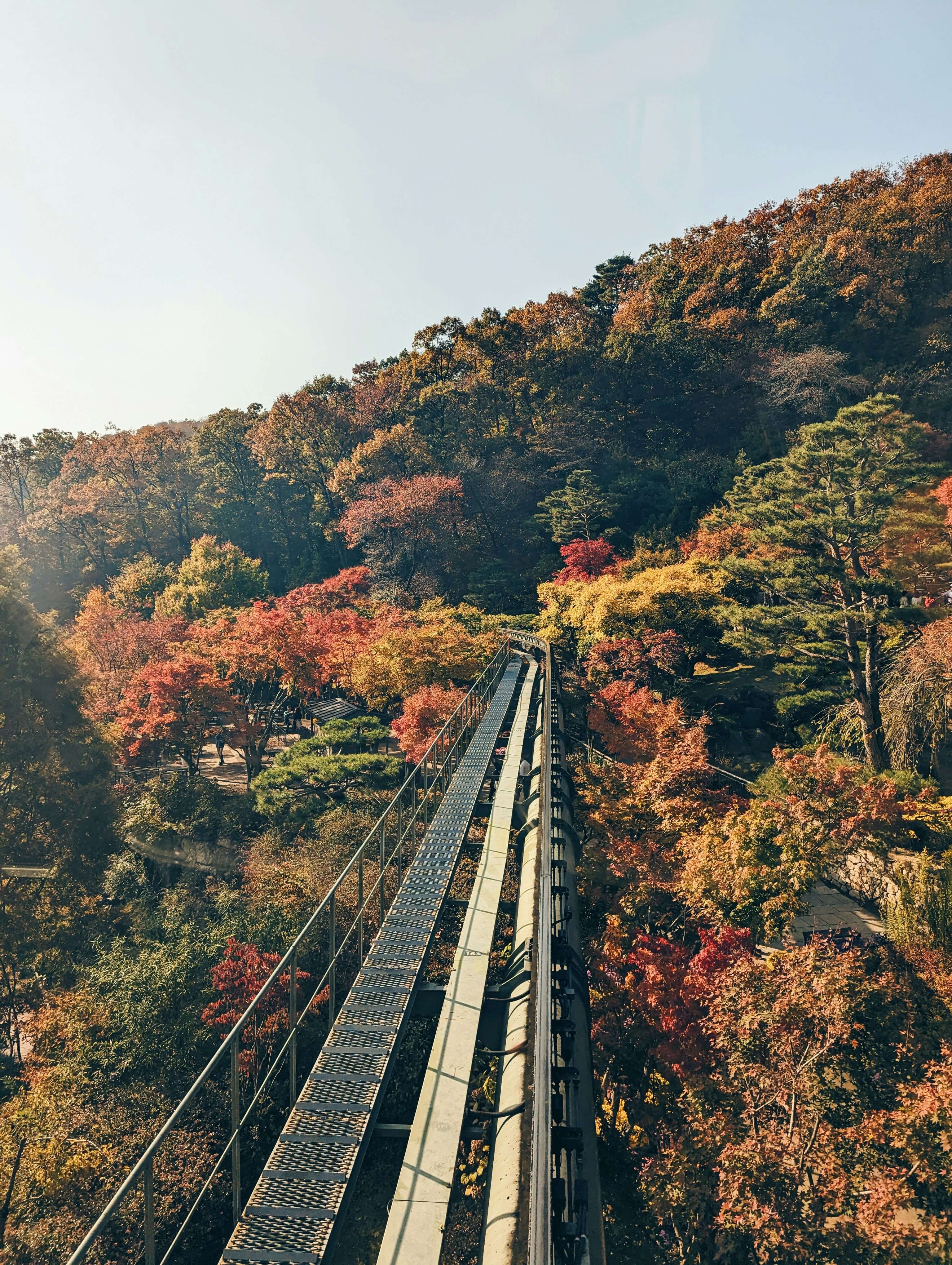 2025- 팔공산- 케이블카 -단풍 -명소- 완벽- 가이드 -| 할인 정보 & 이용 팁-7