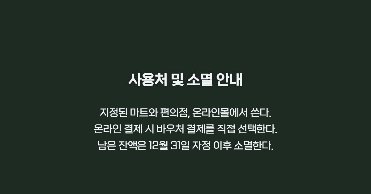생리용품 바우처 사용처 및 소멸 안내 카드뉴스
