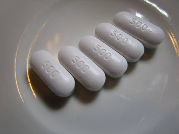 타이레놀 500mg 효능 복용량 주의사항 부작용