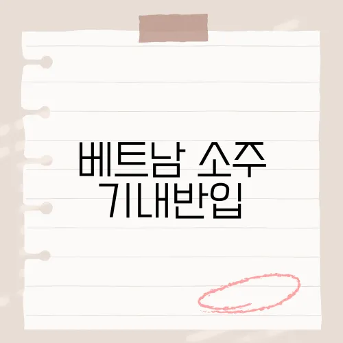 베트남 소주 기내반입, 주류 반입 규정과 주의사항은?