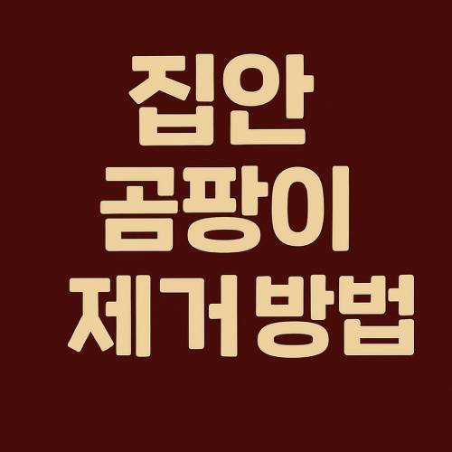 집안 곰팡이 제거 방법 썸네일