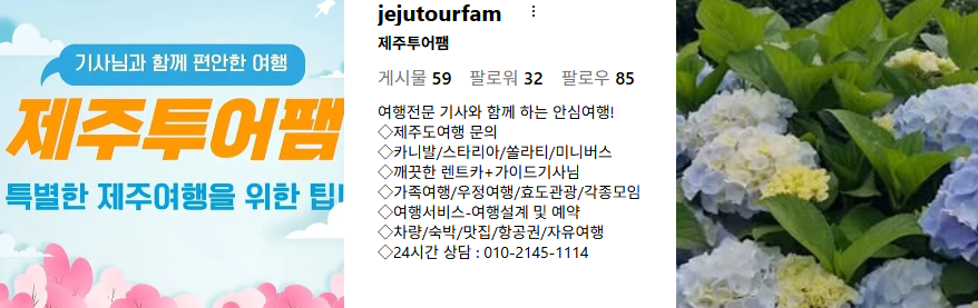 제주 쏠라티&middot;카니발 투어 비교! 기사 포함 제주 승합차투어 요금&middot;코스&middot;후기 총정리