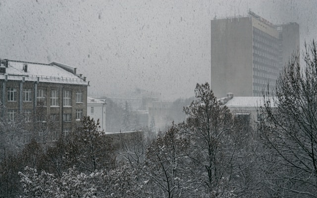 이번 주 폭설 전망 실시간 확인 필수 가이드