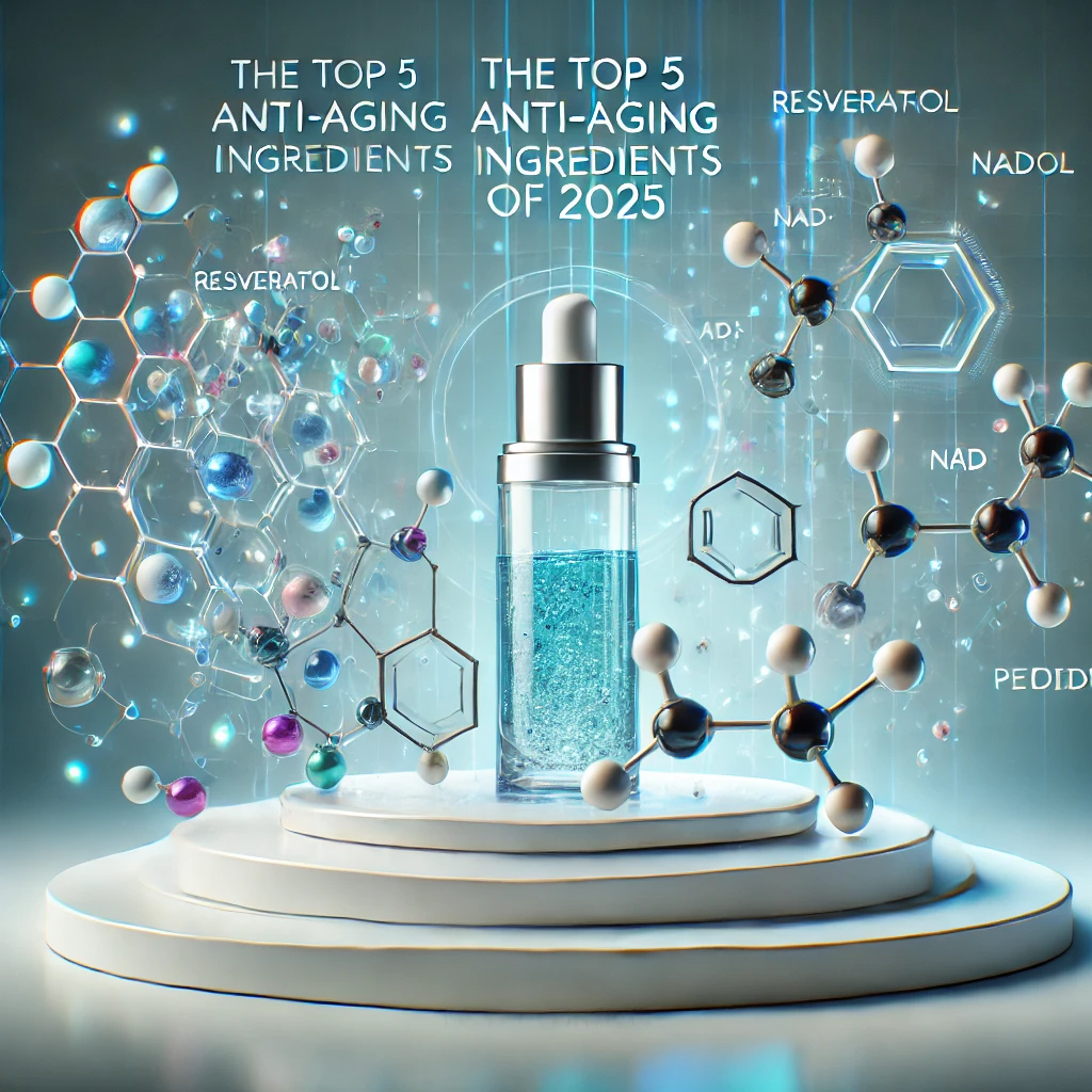 항노화 성분 TOP 5