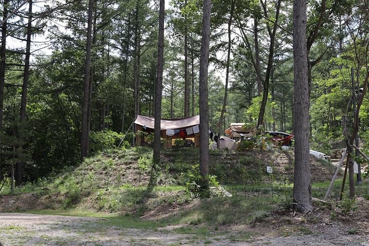 강원도 국립 화천숲속야영장 소개