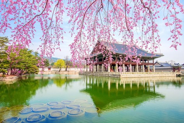 국내 벚꽃 명소