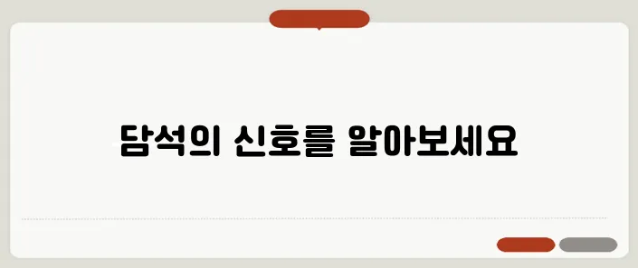 담석 증상과 치료 및 예방