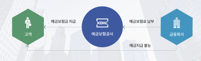 예금보험의 구조