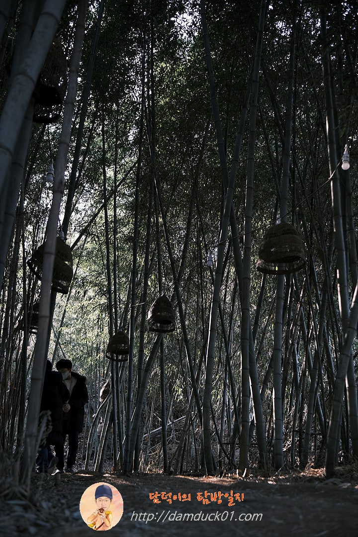온석커피 앤 온석식당 대나무 숲
