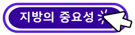 지방의 중요성 알아보기