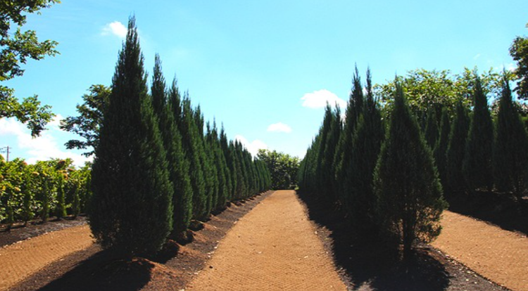 제주 송당동화마을