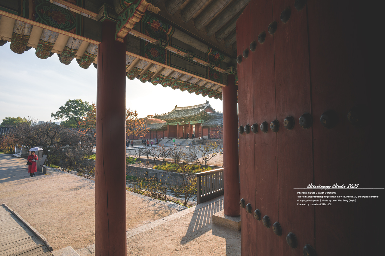 #서울 #창경궁 #궁궐 #조선 #왕