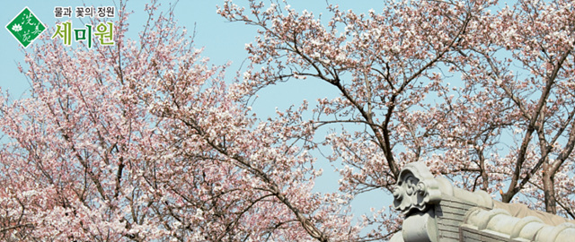 봄꽃구경 가볼만한 곳