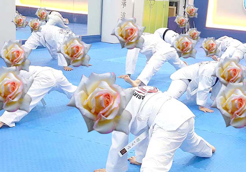 꽃보다 태권도: 장미(Rose)