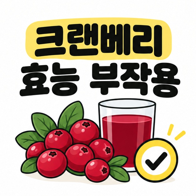 크랜베리 효능 부작용 제목과 크랜베리 열매, 주스 잔을 함께 보여주는 그림