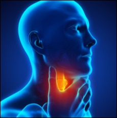 목이 따끔거리는 증상 07