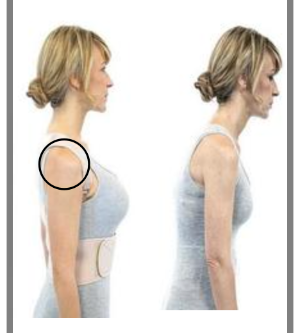 어깨의-바른-위치