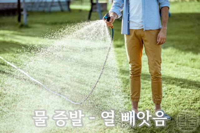 맥주 빨리 차갑게 만드는 방법 냉장고 10분