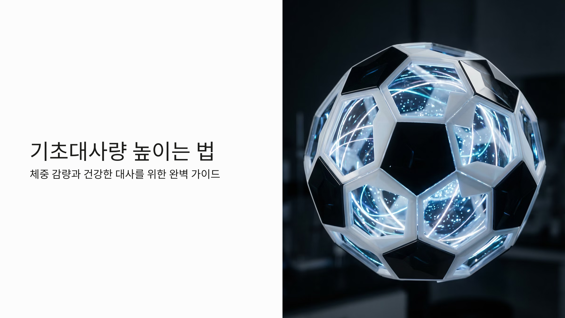 기초대사량 낮은 체질, 살찌는 몸 바꾸는 법