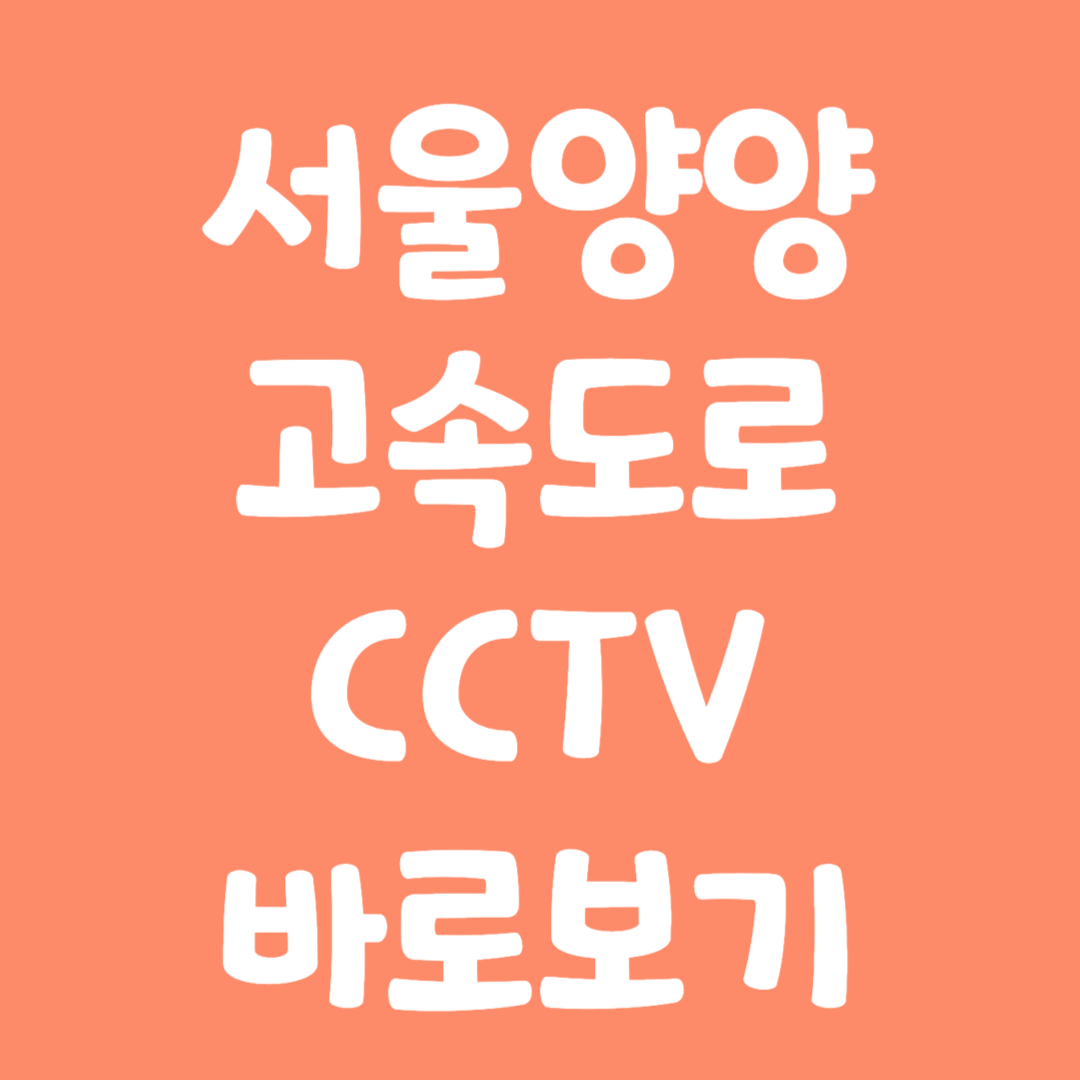 실시간 서울양양 고속도로 CCTV 바로보기