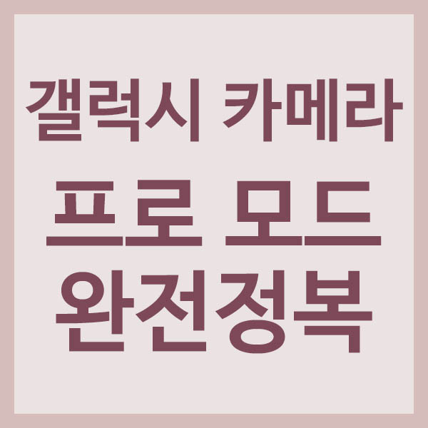 갤럭시 카메라 프로 모드 완전정복 썸네일