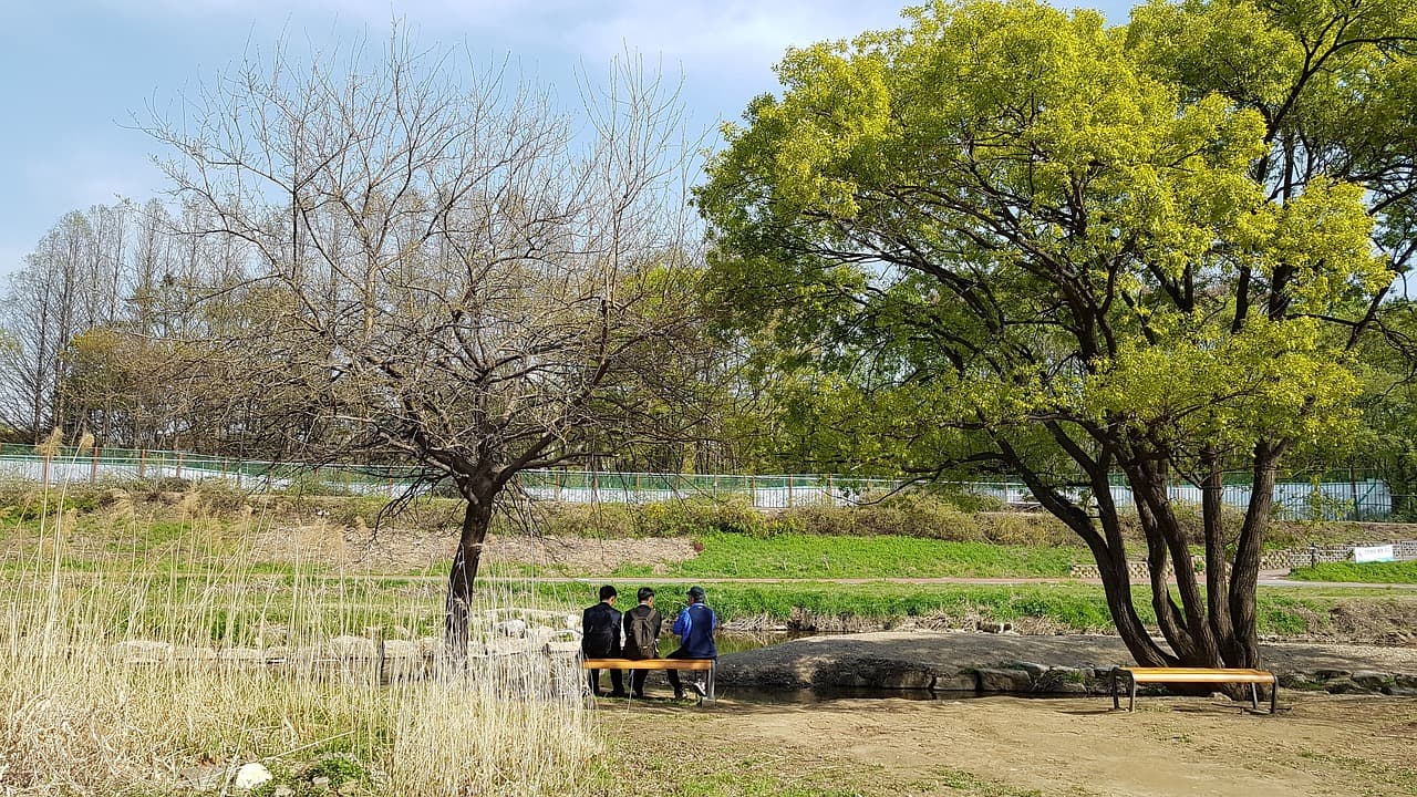 자연 속에서의 일상 몰입: 도심 산책 명소 7곳 추천