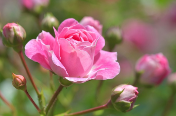 가족 체험 프로그램 1