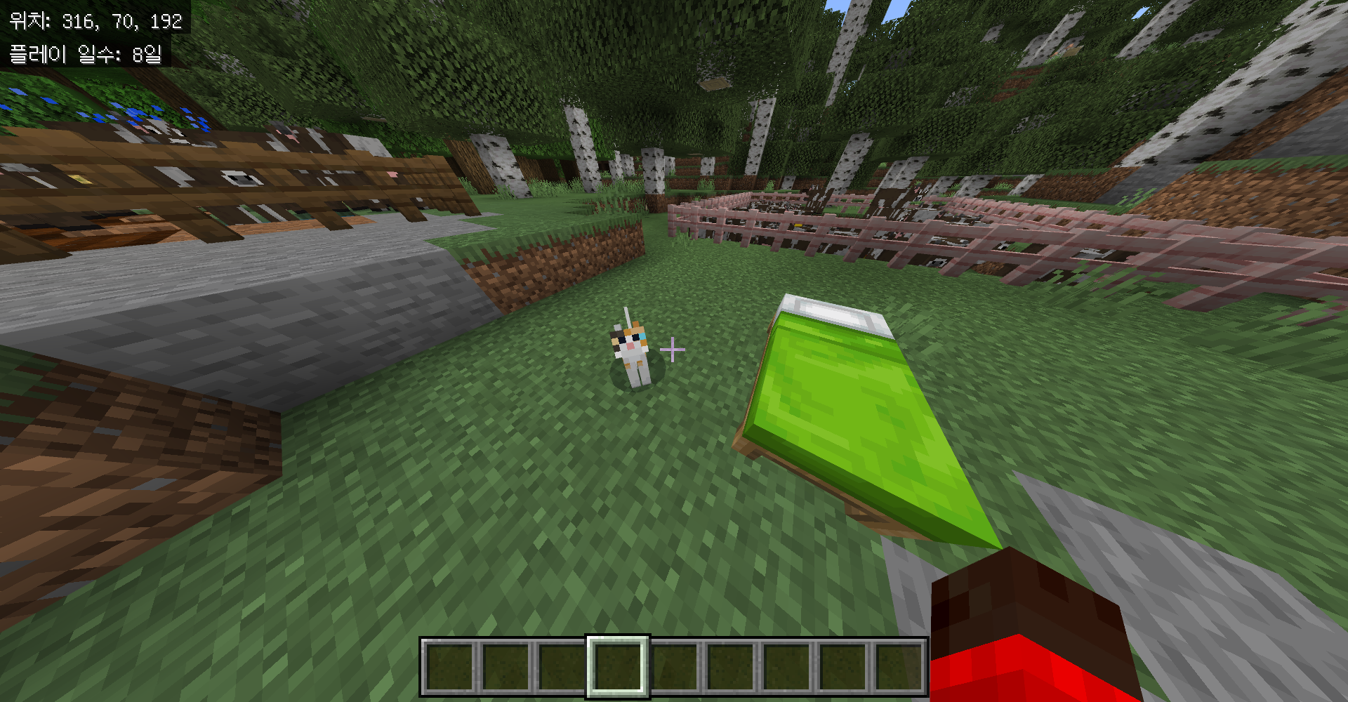 마인크래프트 고양이