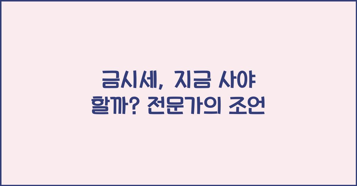 금시세