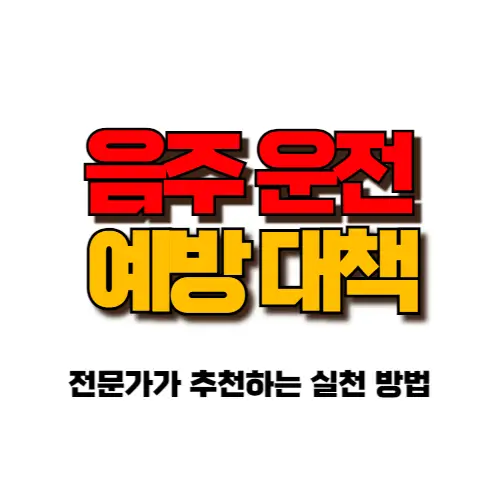 음주운전 예방 대책 썸네일