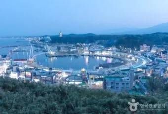 속초 대포항 맛집 추천 회센터 근처 인기 식당 리스트_10