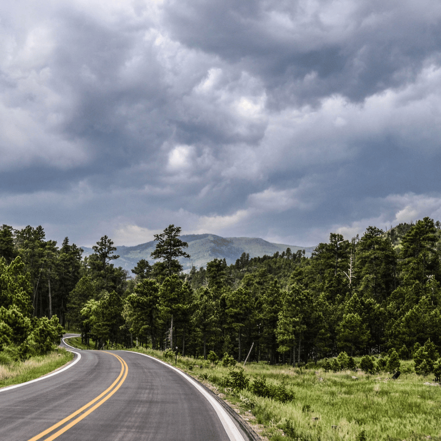 바람 따라, 마음 따라 친구들과 떠나는 감성 드라이브