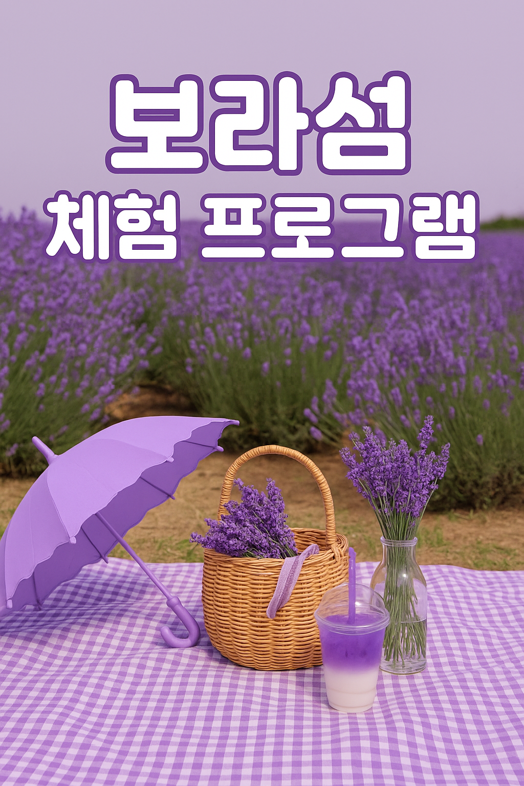 신안 라벤터 보라섬 체험프로그램