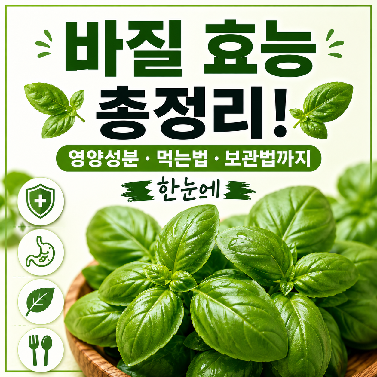 바질 효능