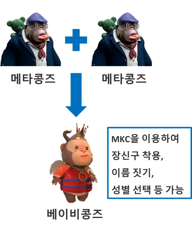 메타콩즈 브리딩 시스템