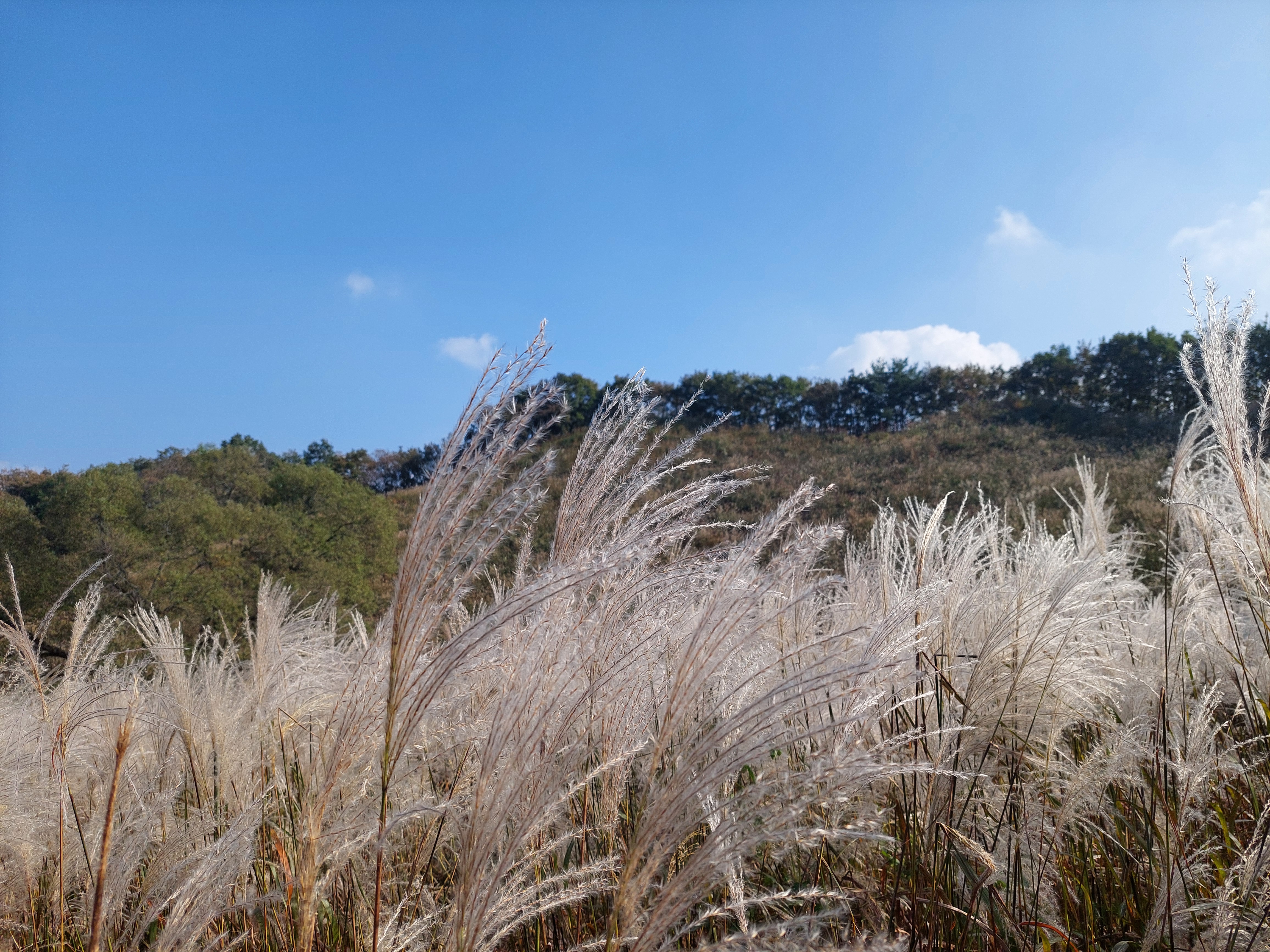 명성산